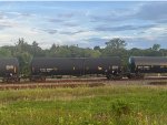 ETHX 100179